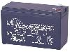 LP12-7.0, LEOCH, Rechargable Battery(12V7.0AH) 151*65*94* , 1.97kg