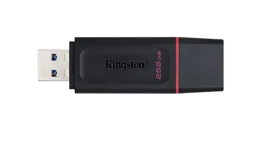 KINGSTON, DTX/256GB, USB3.2, Black + Pink.