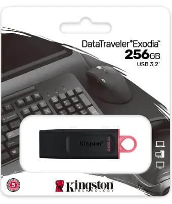 KINGSTON, DTX/256GB, USB3.2, Black + Pink.