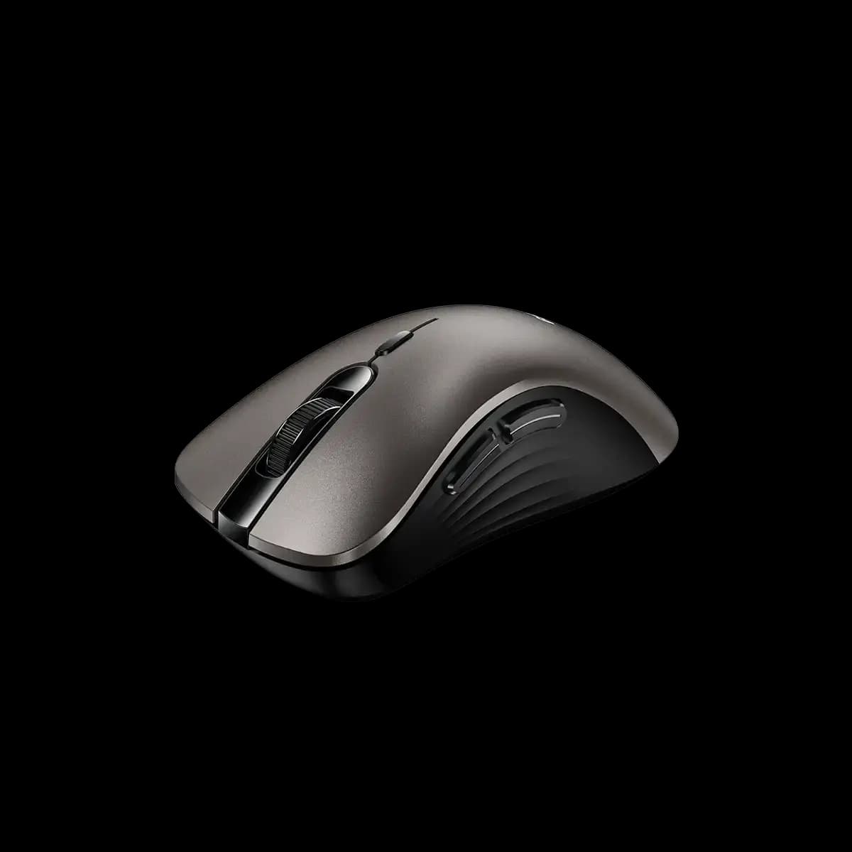 Genius, Ergo 8100S, Mouse Champagne Titanium