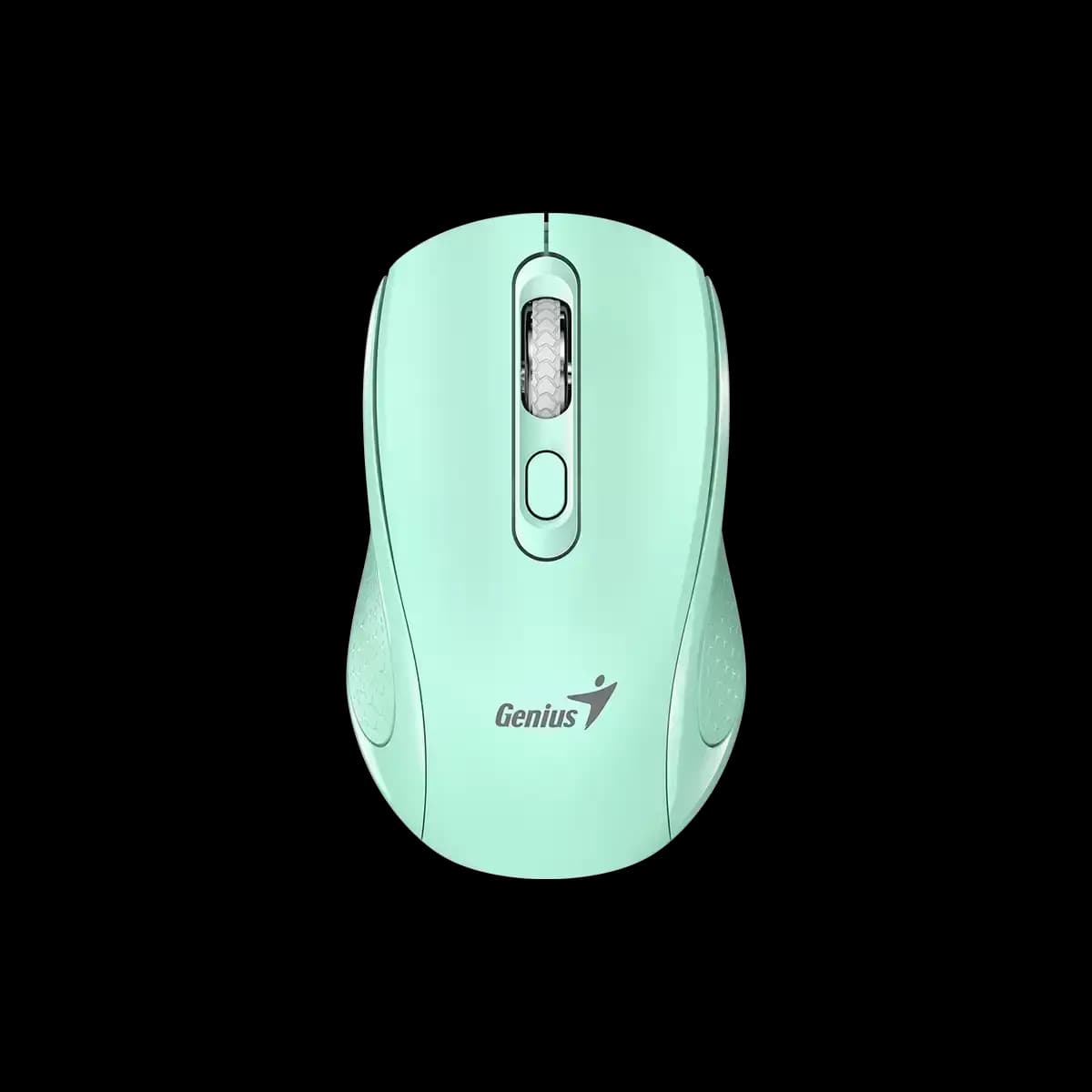 Genius, NX-8025S, Mouse, Aquamarine