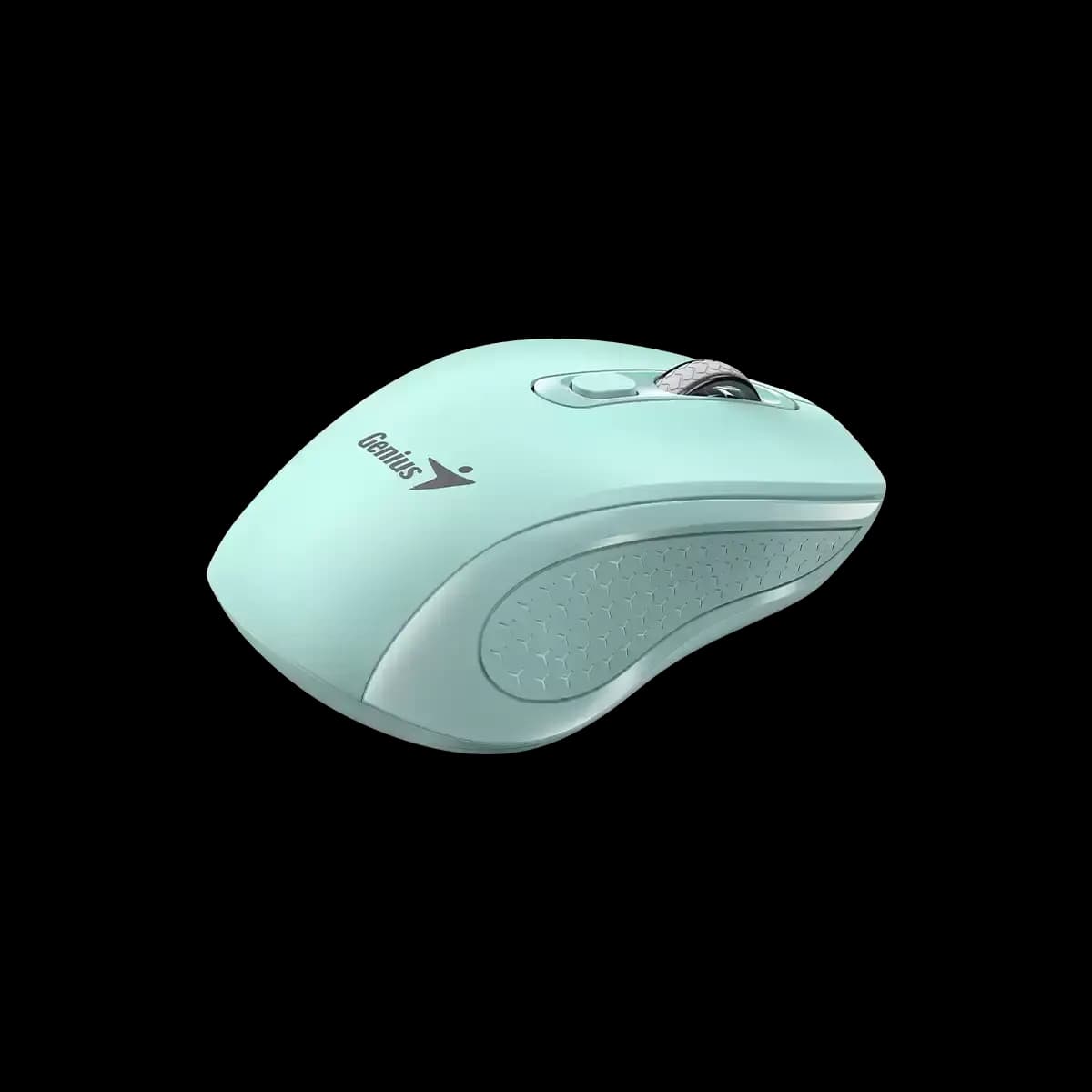 Genius, NX-8025S, Mouse, Aquamarine