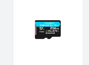 SDCG3/256GBSP, Kingston 256GB microSDXC Canvas Go Plus 170R A2 U3 V30 Single Pack w/o ADP