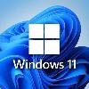 FQC-10529  Microsoft Windows 11 Pro 64Bit Eng Intl 1pk DSP OEI DVD/VERSION 21H2